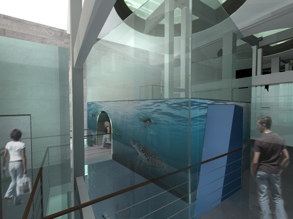 turtle aquarium